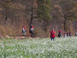 IMG_9701web